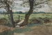 Studie von zwei Bäumen und einem Feld - Edwin Austin Abbey — Ansicht des Kunstwerks