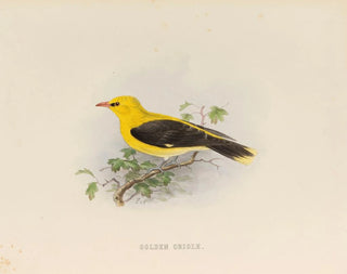Goldenes Kreol-Gemälde - Edwin Carton Booth — Ansicht des Kunstwerks