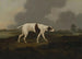 auf der Piste - Edwin Cooper — Ansicht des Kunstwerks