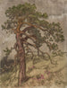 Kalliopetjä - Eero Järnefelt — Ansicht des Kunstwerks