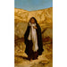 L'Esprit perdu - Elihu Vedder — Ansicht des Kunstwerks
