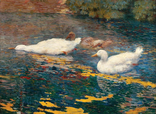 Enten auf dem See - Eliseu Visconti — Ansicht des Kunstwerks