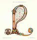Reproduktion des Gemäldes Celtic Ornament Gemälde II - Elizabeth A Nedwill
