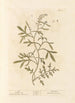 Cresson - Elizabeth Blackwell — Ansicht des Kunstwerks