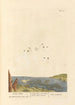 Lentille d'Eau - Elizabeth Blackwell — Ansicht des Kunstwerks