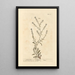 Cresson Sciatica - Elizabeth Blackwell — gerahmtes Bild an der Wand