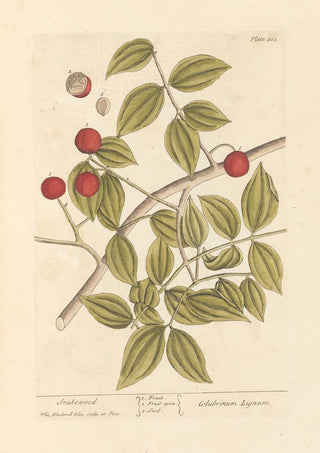 Elizabeth Blackwell - Snakewood.webp