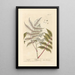 Sumac - Elizabeth Blackwell — gerahmtes Bild an der Wand
