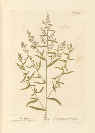 Elizabeth Blackwell - Tarragon.webp