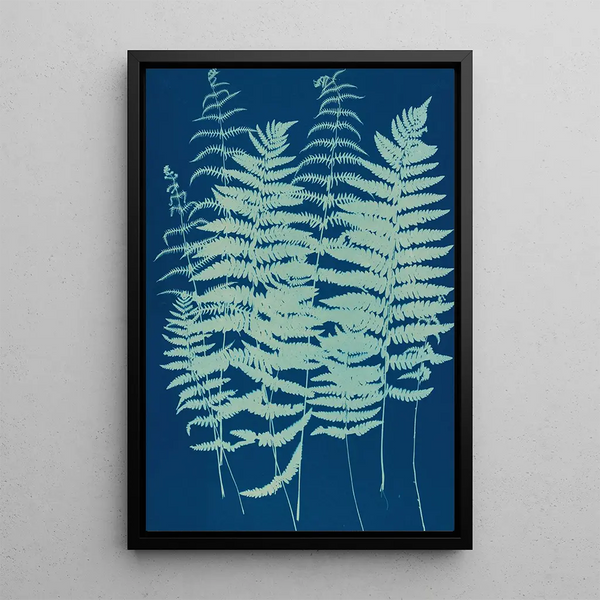 Ella J C Hurd - Ferns of Huntington Long Island Pl07.webp