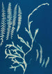 Huntington Long Island Pl19 - Ella J C Hurd — Ansicht des Kunstwerks