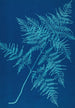 Reproduktion des Gemäldes Huntington Long Island Pl30 - Ella J C Hurd