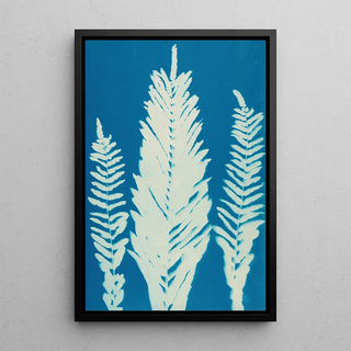 Ella J C Hurd - Ferns of Huntington Long Island Pl36.webp