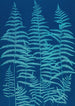 Fougères de Huntington Long Island Pl39 - Ella J C Hurd — Ansicht des Kunstwerks