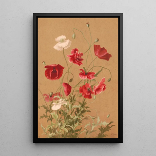 Ellen Fisher - Poppies.webp
