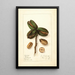 Carya Teche - Ellen Isham Schutt — gerahmtes Bild an der Wand