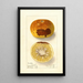 Citrus paradisi - Ellen Isham Schutt — gerahmtes Bild an der Wand