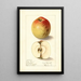Malus domestica Lady Bryan - Ellen Isham Schutt — gerahmtes Bild an der Wand
