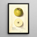 Malus domestica Yellow Newtown - Ellen Isham Schutt — gerahmtes Bild an der Wand