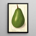 Persea Johnstone - Ellen Isham Schutt — gerahmtes Bild an der Wand