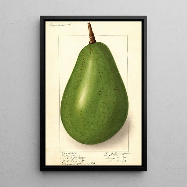 Persea Johnstone - Ellen Isham Schutt — gerahmtes Bild an der Wand