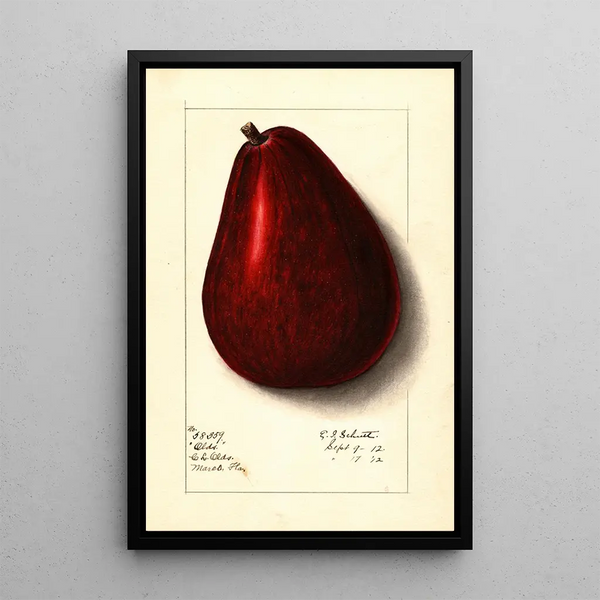 Persea Olds - Ellen Isham Schutt — gerahmtes Bild an der Wand