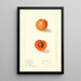 Prunus mume Nellie - Ellen Isham Schutt — gerahmtes Bild an der Wand