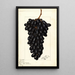 Vitis Askarie - Ellen Isham Schutt — gerahmtes Bild an der Wand