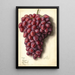 Vitis Takayo Black Land - Ellen Isham Schutt — gerahmtes Bild an der Wand