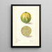 Elsie E. Lower — gerahmtes Bild an der Wand