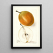 Pyrus communis Magnolia - Elsie E. Lower — gerahmtes Bild an der Wand