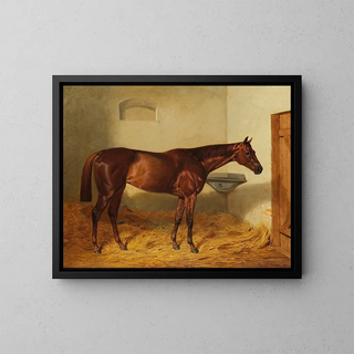 Emil Adam - Die Stute Kincsem.webp