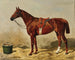 Jument pur-sang anglais - Emil Volkers — Ansicht des Kunstwerks