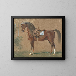 Emil Volkers - Gesattelter Hengst.webp