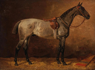 Graues Pferd in der Stallung - Emil Volkers — Ansicht des Kunstwerks
