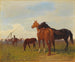 Pferde auf der Puszta - Emil Volkers — Ansicht des Kunstwerks