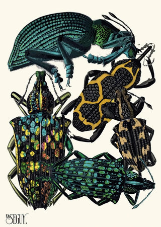 EmileAllain Sguy - Insectes Pl06.webp