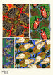 Insekten Pl11 - Émile-Allain Séguy — Ansicht des Kunstwerks
