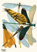 Insekten Pl20 - Émile-Allain Séguy — Ansicht des Kunstwerks