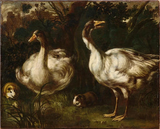 Enten und Meerschweinchen - École émilienne — Ansicht des Kunstwerks