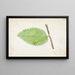 Chenille mit gezacktem Blattrand - Emma Beach Thayer — gerahmtes Bild an der Wand