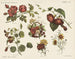 Blumen - Emrik Binger — Ansicht des Kunstwerks