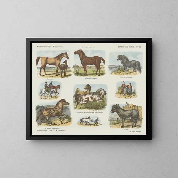 Tiere mit einem Horn - Emrik Binger — gerahmtes Bild an der Wand