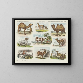 Emrik  Binger - Herkauwende of tweehoevige dieren.webp