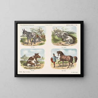 Emrik  Binger - Nuttige dieren.webp