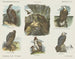 Vögel auf dem Dach - Emrik Binger — Ansicht des Kunstwerks