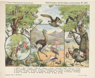 Raubvögel und Sänger - Emrik Binger — Ansicht des Kunstwerks
