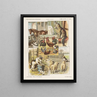 Emrik Binger - Tamme dieren.webp