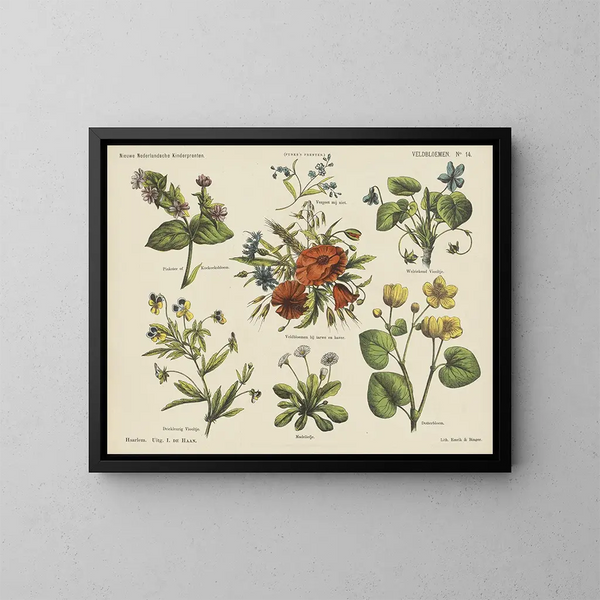 Blumen der Felder - Emrik Binger — gerahmtes Bild an der Wand