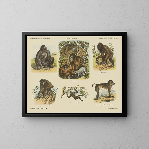 Tiere zu viert - Emrik Binger — gerahmtes Bild an der Wand